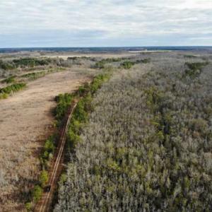 Photo of SOLD!!  166 Acres of Waterfront Hunting Land For Sale in Gates County NC!