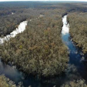 Photo of SOLD!!  166 Acres of Waterfront Hunting Land For Sale in Gates County NC!