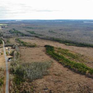 Photo of SOLD!!  166 Acres of Waterfront Hunting Land For Sale in Gates County NC!