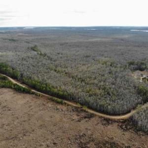 Photo of SOLD!!  166 Acres of Waterfront Hunting Land For Sale in Gates County NC!