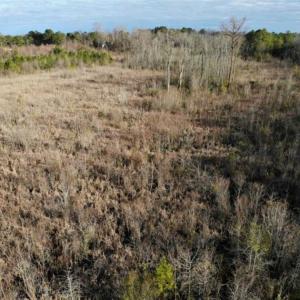 Photo of SOLD!!  166 Acres of Waterfront Hunting Land For Sale in Gates County NC!