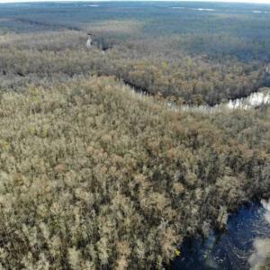 Photo of SOLD!!  166 Acres of Waterfront Hunting Land For Sale in Gates County NC!