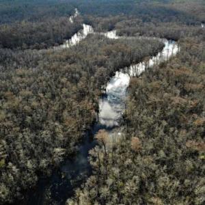Photo of SOLD!!  166 Acres of Waterfront Hunting Land For Sale in Gates County NC!