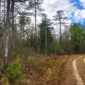 Photo of SOLD!!  166 Acres of Waterfront Hunting Land For Sale in Gates County NC!