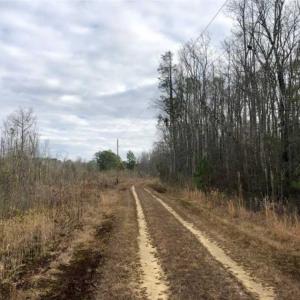 Photo of SOLD!!  166 Acres of Waterfront Hunting Land For Sale in Gates County NC!