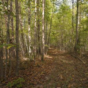 Photo of SOLD!!  44.70 Acres of Multi-Use Land For Sale in Caswell County NC!