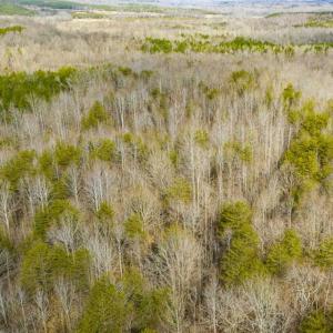 Photo of SOLD!!  44.70 Acres of Multi-Use Land For Sale in Caswell County NC!