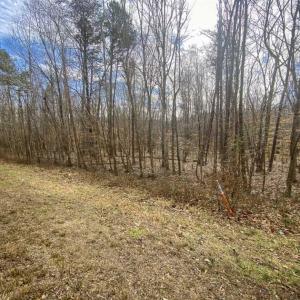 Photo of SOLD!!  44.70 Acres of Multi-Use Land For Sale in Caswell County NC!