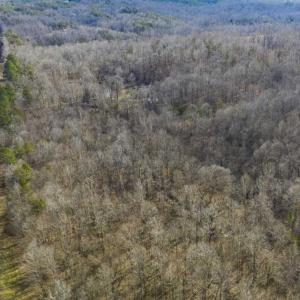 Photo of SOLD!!  44.70 Acres of Multi-Use Land For Sale in Caswell County NC!