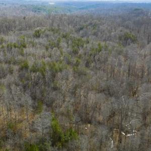 Photo of SOLD!!  44.70 Acres of Multi-Use Land For Sale in Caswell County NC!