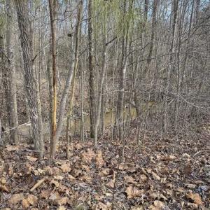 Photo of SOLD!!  44.70 Acres of Multi-Use Land For Sale in Caswell County NC!