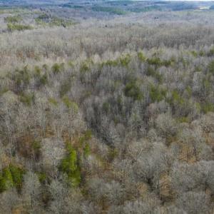 Photo of SOLD!!  44.70 Acres of Multi-Use Land For Sale in Caswell County NC!