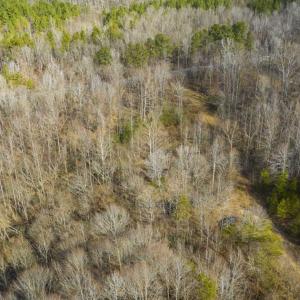Photo of SOLD!!  44.70 Acres of Multi-Use Land For Sale in Caswell County NC!