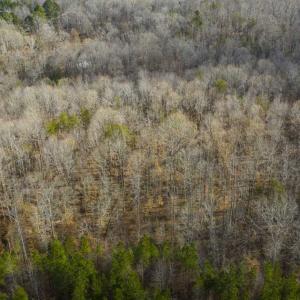 Photo of SOLD!!  44.70 Acres of Multi-Use Land For Sale in Caswell County NC!
