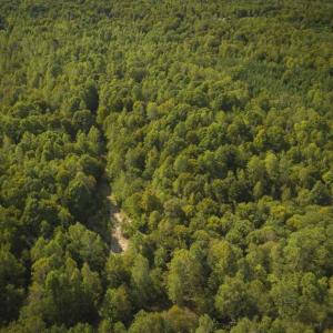 Photo of SOLD!!  44.70 Acres of Multi-Use Land For Sale in Caswell County NC!
