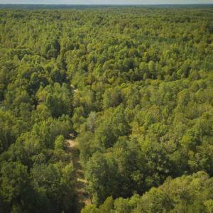 Photo of SOLD!!  44.70 Acres of Multi-Use Land For Sale in Caswell County NC!