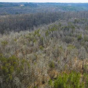 Photo of SOLD!!  44.70 Acres of Multi-Use Land For Sale in Caswell County NC!