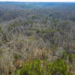 Photo of SOLD!!  44.70 Acres of Multi-Use Land For Sale in Caswell County NC!