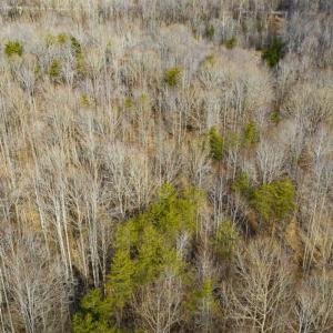 Photo of SOLD!!  44.70 Acres of Multi-Use Land For Sale in Caswell County NC!
