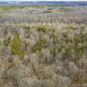 Photo of SOLD!!  44.70 Acres of Multi-Use Land For Sale in Caswell County NC!