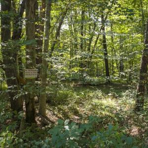 Photo of SOLD!!  44.70 Acres of Multi-Use Land For Sale in Caswell County NC!