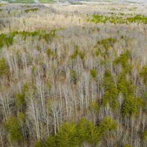 Photo of SOLD!!  44.70 Acres of Multi-Use Land For Sale in Caswell County NC!