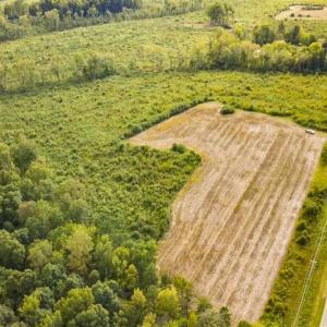 Photo of UNDER CONTRACT!!  92.5 Acres of Multi-Use Land for Sale in Person County NC!