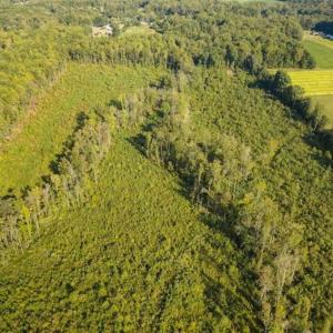 Photo of UNDER CONTRACT!!  92.5 Acres of Multi-Use Land for Sale in Person County NC!
