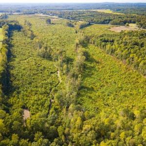 Photo of UNDER CONTRACT!!  92.5 Acres of Multi-Use Land for Sale in Person County NC!