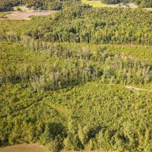 Photo of UNDER CONTRACT!!  92.5 Acres of Multi-Use Land for Sale in Person County NC!