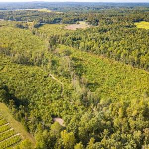 Photo of UNDER CONTRACT!!  92.5 Acres of Multi-Use Land for Sale in Person County NC!