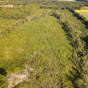 Photo of UNDER CONTRACT!!  92.5 Acres of Multi-Use Land for Sale in Person County NC!