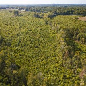 Photo of UNDER CONTRACT!!  92.5 Acres of Multi-Use Land for Sale in Person County NC!