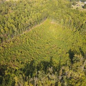 Photo of UNDER CONTRACT!!  92.5 Acres of Multi-Use Land for Sale in Person County NC!