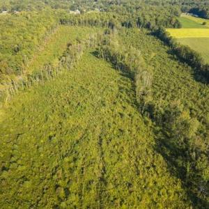 Photo of UNDER CONTRACT!!  92.5 Acres of Multi-Use Land for Sale in Person County NC!