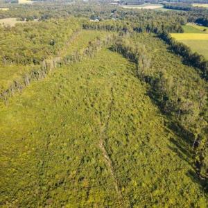 Photo of UNDER CONTRACT!!  92.5 Acres of Multi-Use Land for Sale in Person County NC!
