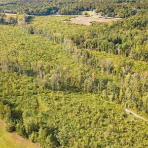 Photo of UNDER CONTRACT!!  92.5 Acres of Multi-Use Land for Sale in Person County NC!