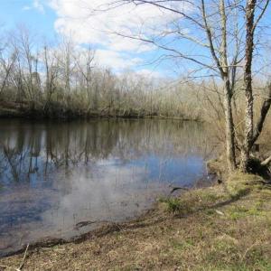 Photo of SOLD!  56.88 Acres of Residential and Recreational Land in Duplin County NC!