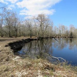 Photo of SOLD!  56.88 Acres of Residential and Recreational Land in Duplin County NC!