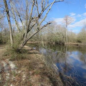 Photo of SOLD!  56.88 Acres of Residential and Recreational Land in Duplin County NC!