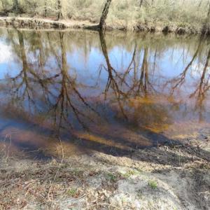 Photo of SOLD!  56.88 Acres of Residential and Recreational Land in Duplin County NC!