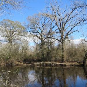 Photo of SOLD!  56.88 Acres of Residential and Recreational Land in Duplin County NC!