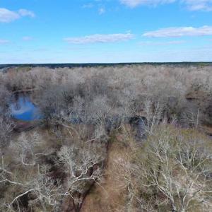 Photo of SOLD!  56.88 Acres of Residential and Recreational Land in Duplin County NC!