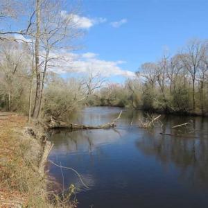 Photo of SOLD!  56.88 Acres of Residential and Recreational Land in Duplin County NC!