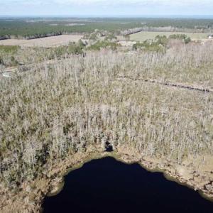 Photo of SOLD!!  220 Acres of Hunting Land for Sale in Tyrrell County NC!