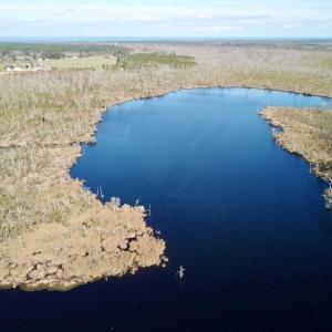 Photo of SOLD!!  220 Acres of Hunting Land for Sale in Tyrrell County NC!