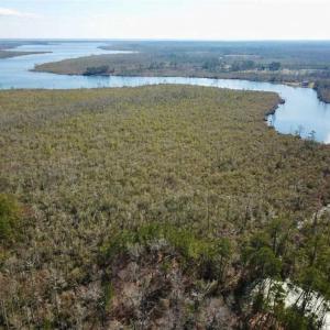 Photo of SOLD!!  220 Acres of Hunting Land for Sale in Tyrrell County NC!