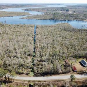Photo of SOLD!!  220 Acres of Hunting Land for Sale in Tyrrell County NC!