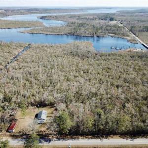 Photo of SOLD!!  220 Acres of Hunting Land for Sale in Tyrrell County NC!