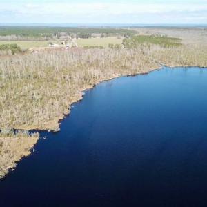 Photo of SOLD!!  220 Acres of Hunting Land for Sale in Tyrrell County NC!